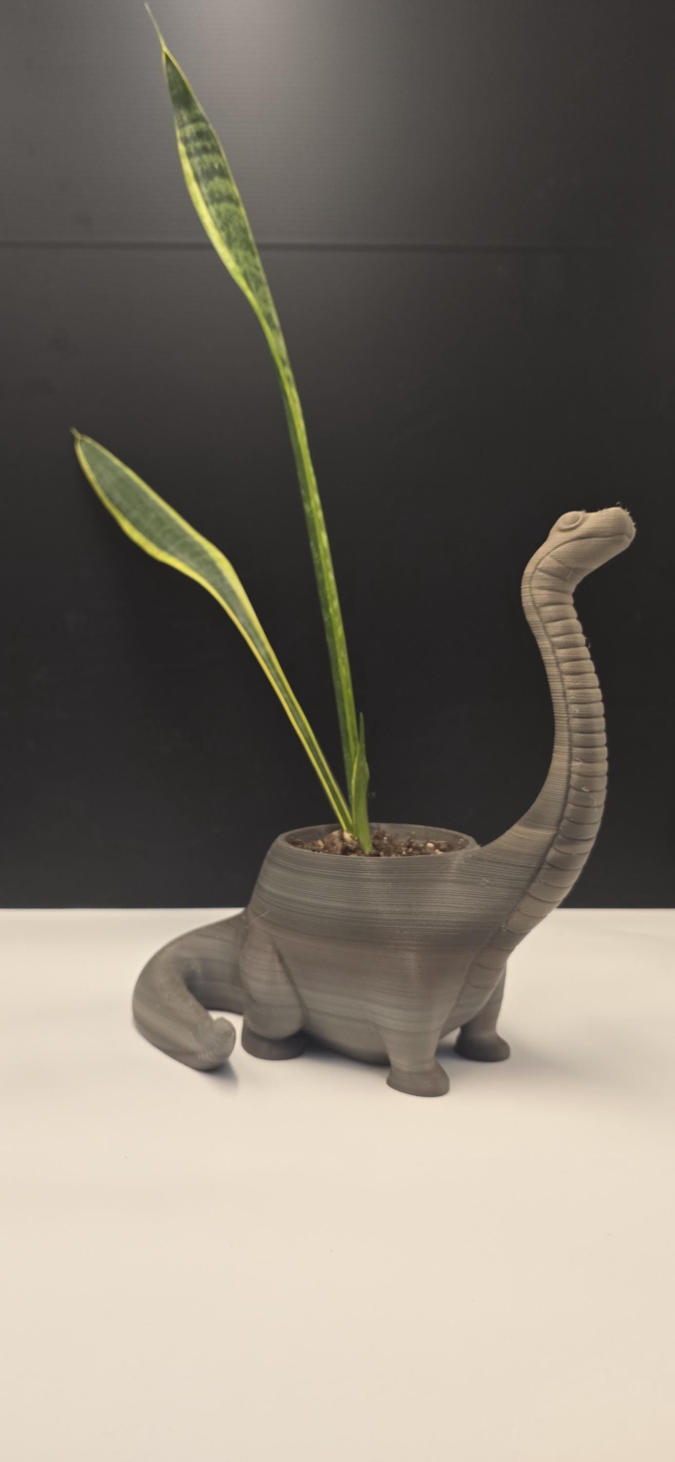 Sandstone textured Brontosaurus Planter