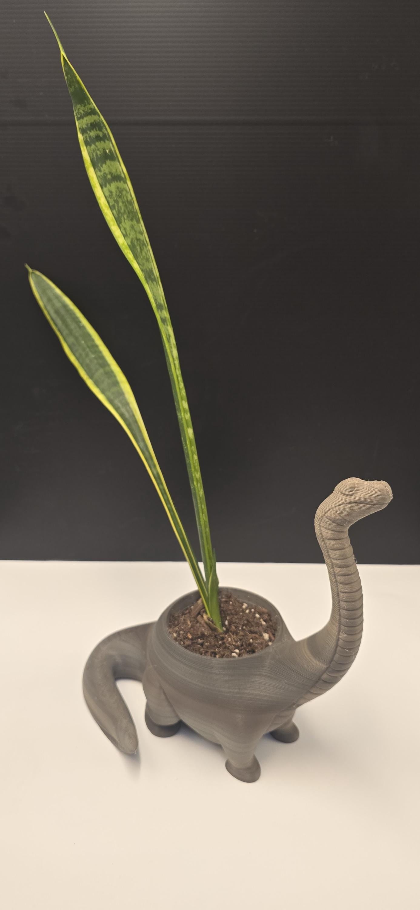Sandstone textured Brontosaurus Planter